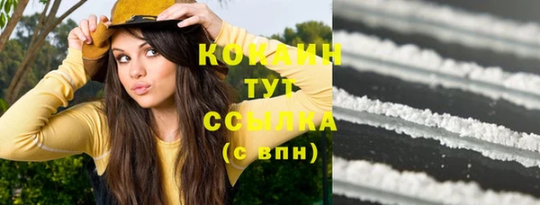 PSILOCYBIN Зеленодольск