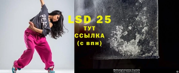 PSILOCYBIN Зеленодольск