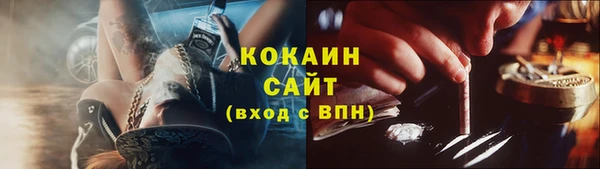 PSILOCYBIN Зеленодольск