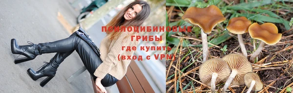 PSILOCYBIN Зеленодольск