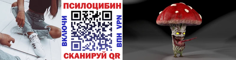 Купить Моршанск Галлюциногенные грибы Psilocybine cubensis