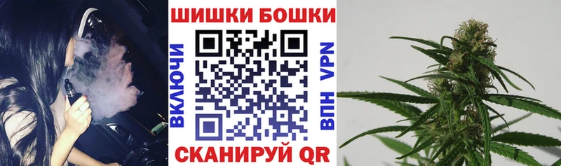 МАРИХУАНА ГИДРОПОН  Купить закладки  Моршанск 